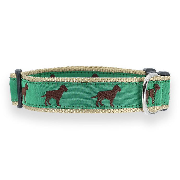 Brown Dog on Green