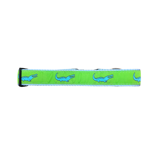 Blue Alligator on Green