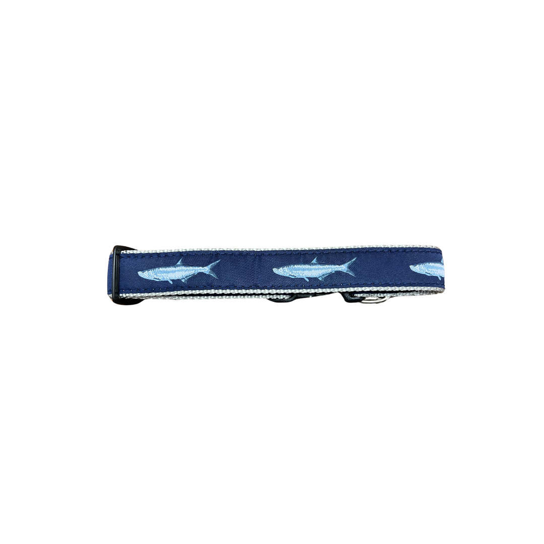 Tarpon