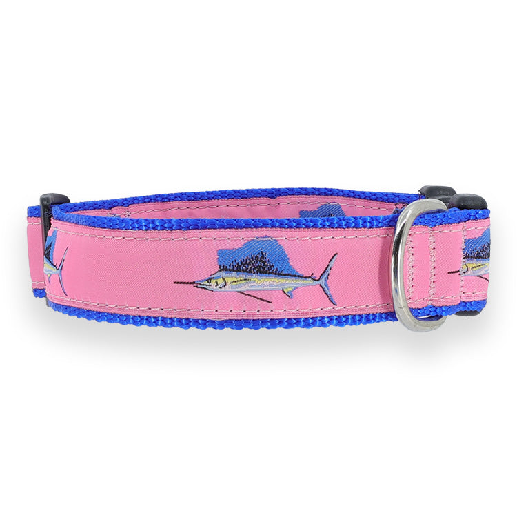 Sailfish on Pink