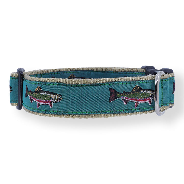 Brook Trout on Teal