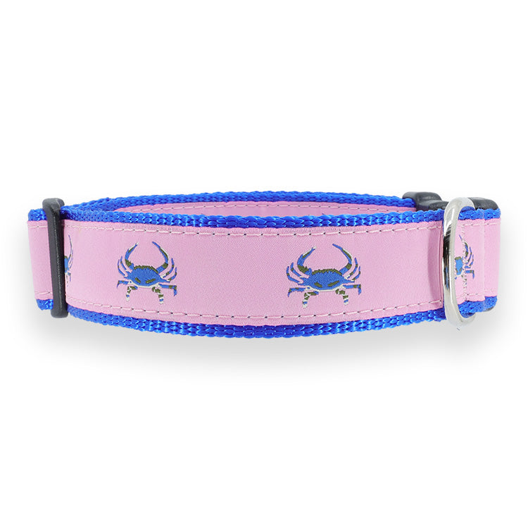 Blue Crab on Pink