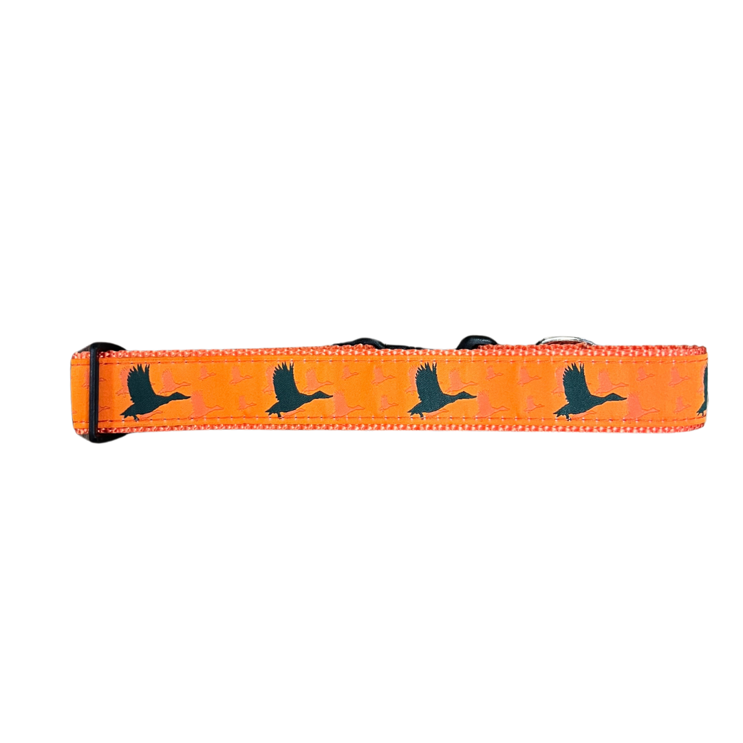 Organe Duck