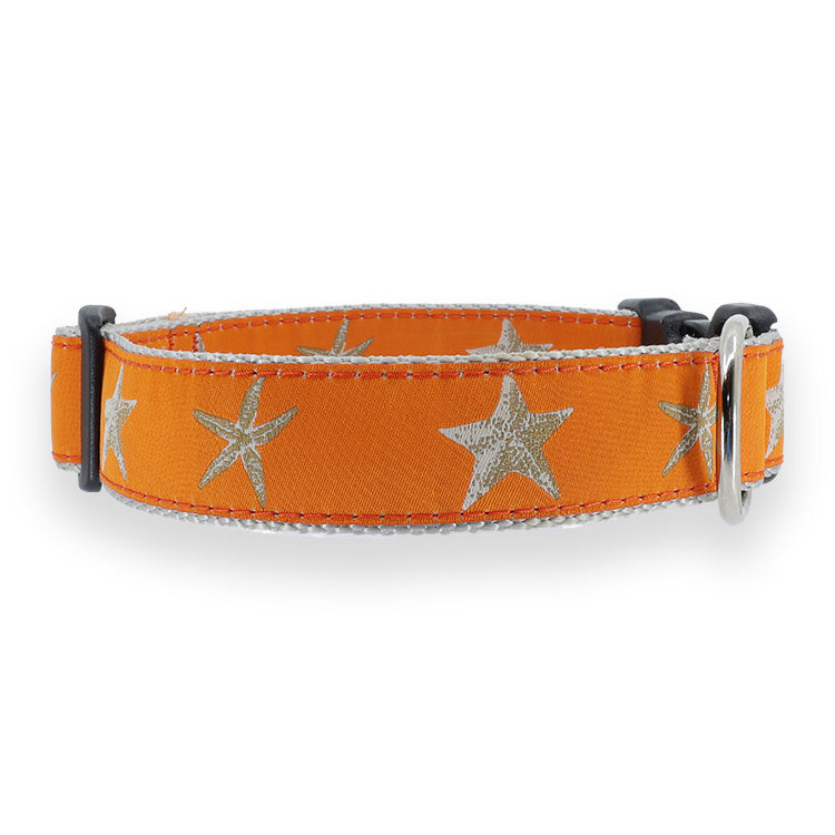 Orange Starfish