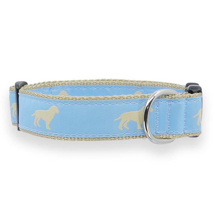 Yellow Dog on Blue
