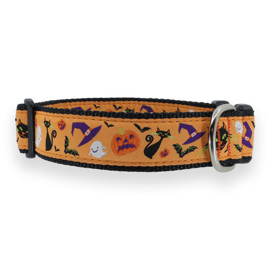 Whiskers - Halloween