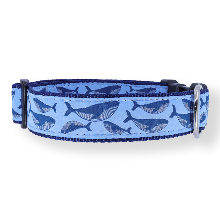 Humpback Whale on Blue