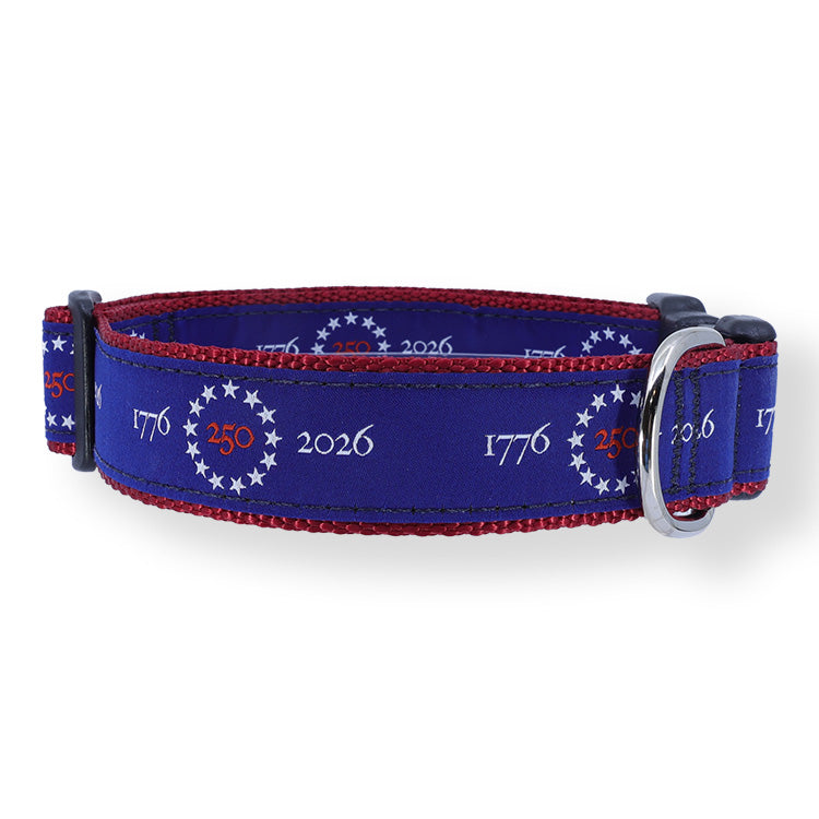 America 250