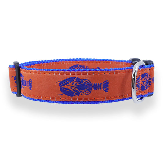 Blue Lobster on Orange