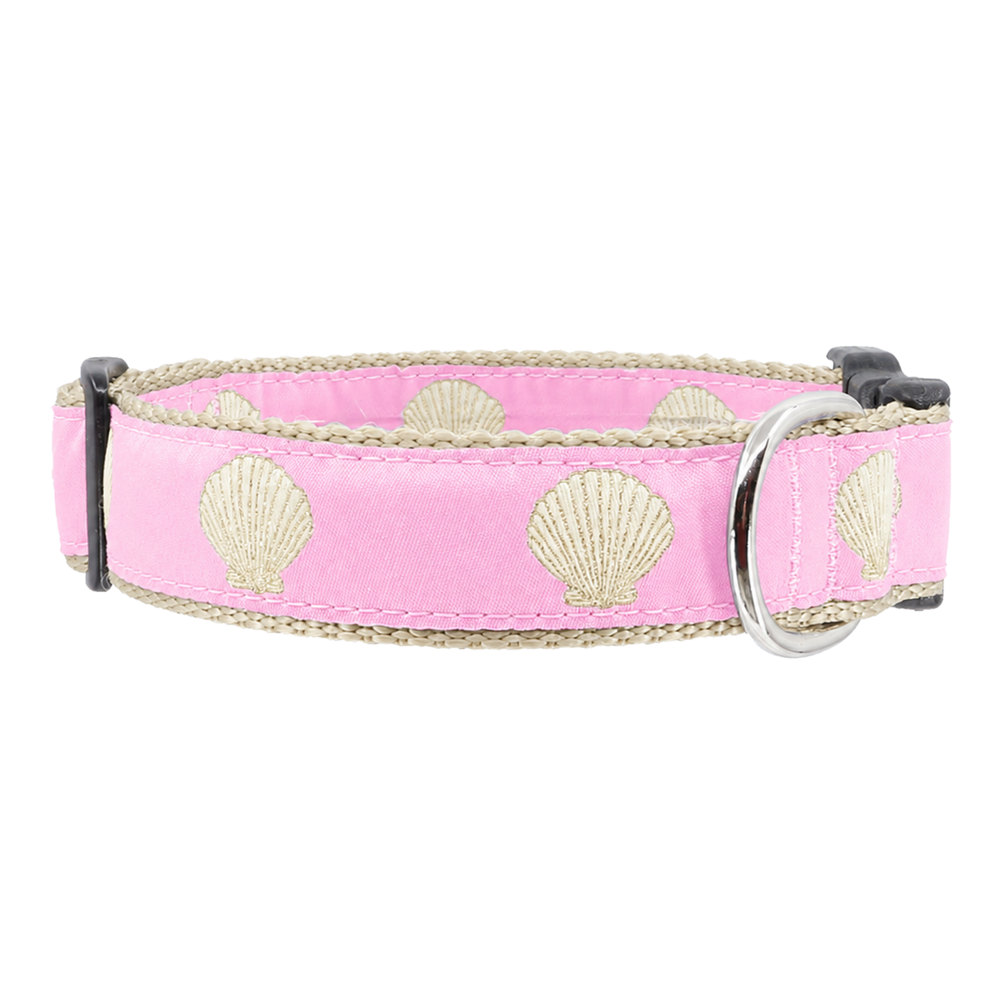 Pink Sea Scallop