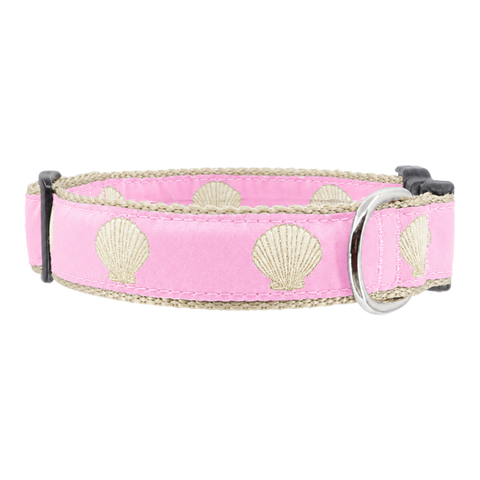 Pink Sea Scallop
