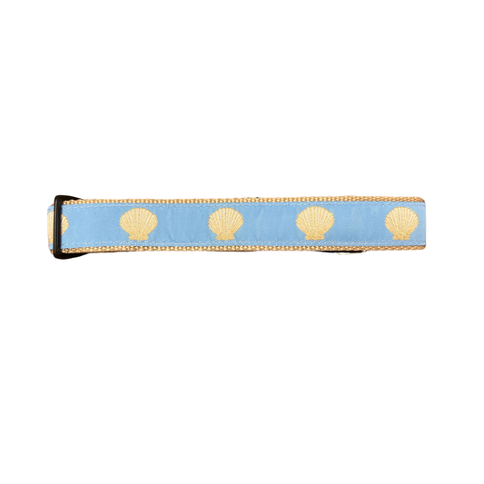 Light Blue Scallop Shell