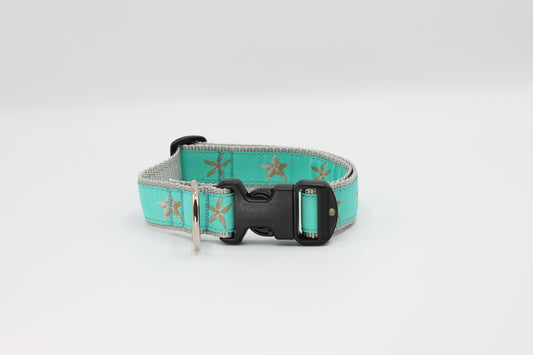 Starfish on Aqua - Coastal Dog Collar