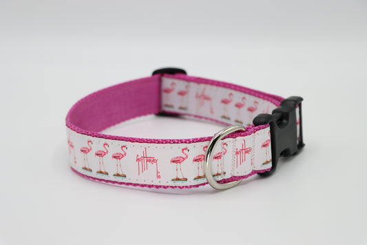 Flamingo Dog Collar - Guy Harvey Pet