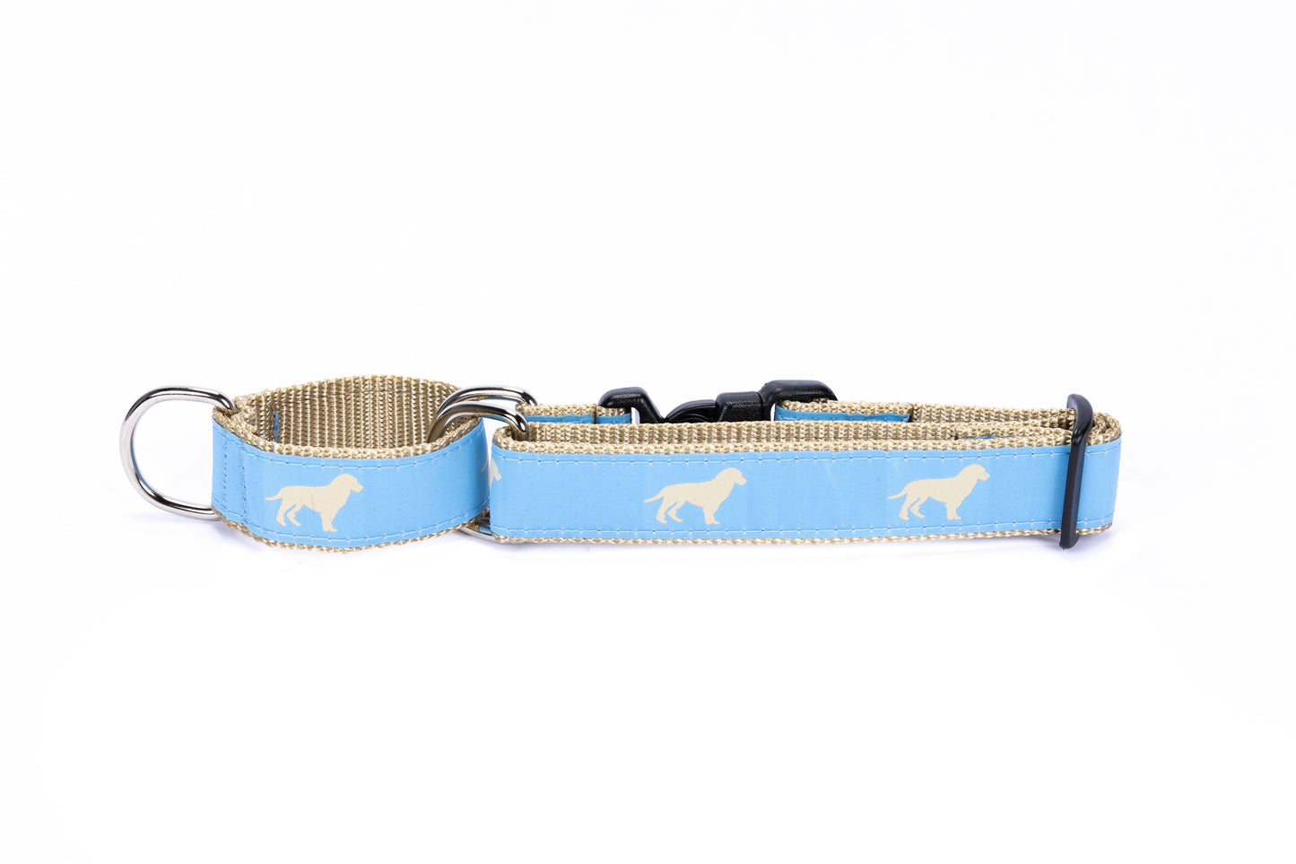 Yellow Dog on Blue