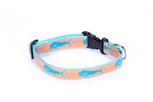 Orange Dorado Dog Collar - Guy Harvey Pet