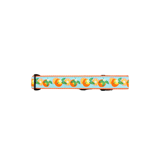 Oranges